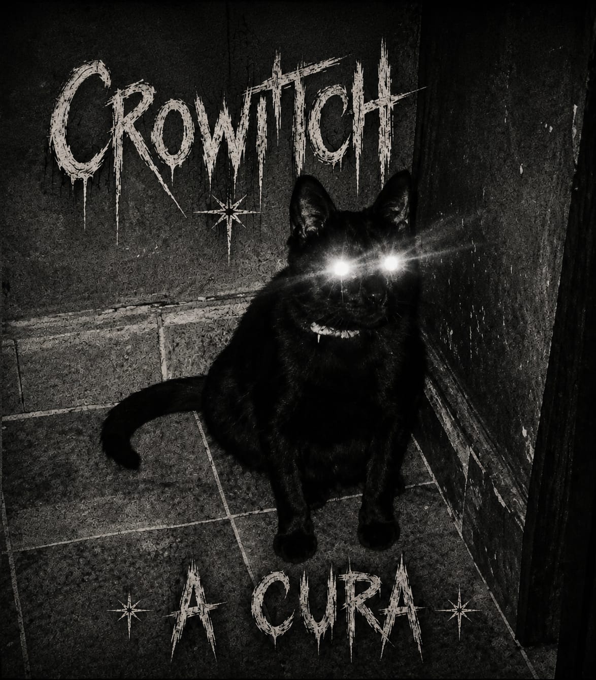 Capa 1